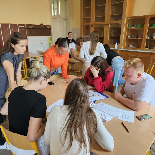 Simulované voľby do Európskeho parlamentu