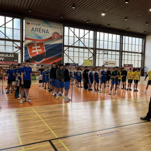 Na&scaron;i žiaci sa z&uacute;častnili krajsk&eacute;ho kola vo florbale